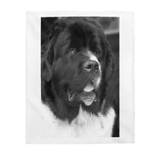 Load image into Gallery viewer, Newfoundland Dog Cozy Blanket