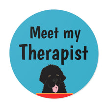 Load image into Gallery viewer, Meet my Therapist Vinyl Stickers