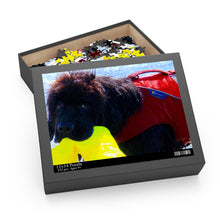 Load image into Gallery viewer, Newfie Water Rescue Puzzle