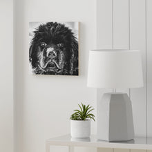 Load image into Gallery viewer, Newfoundland Puppy in the Snow on Wood Canvas