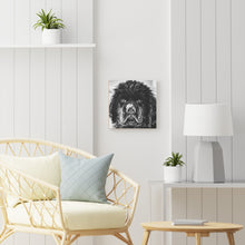 Load image into Gallery viewer, Newfoundland Puppy in the Snow on Wood Canvas