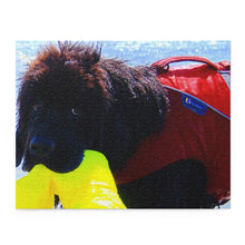 Load image into Gallery viewer, Newfie Water Rescue Puzzle