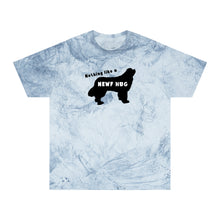 Load image into Gallery viewer, Newf Hug - Unisex Color Blast T-Shirt
