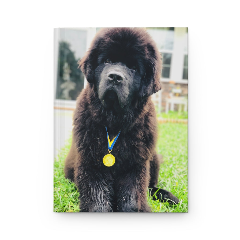 Newfoundland Puppy Hardcover Journal