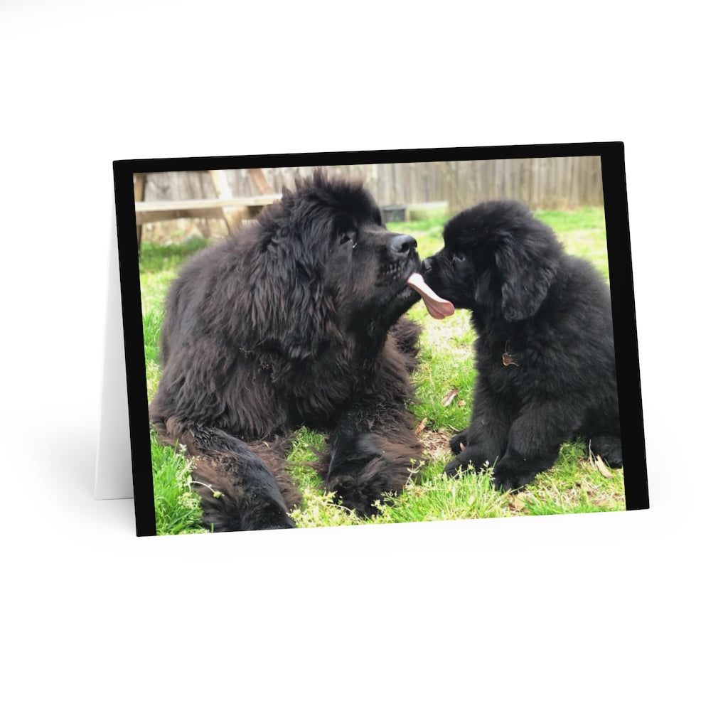 Newfie and puppy Greeting Cards (5 Pack)