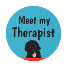 Load image into Gallery viewer, Meet my Therapist Vinyl Stickers
