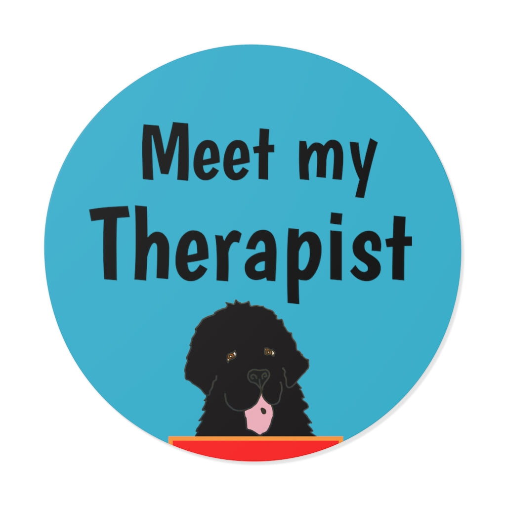 Meet my Therapist Vinyl Stickers