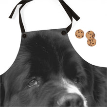 Load image into Gallery viewer, Newfoundland Dog Apron

