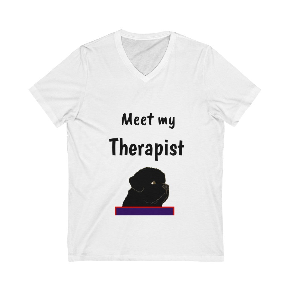 Meet my Therapist - Tee Shirt